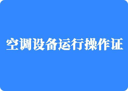 男人鸡巴狂插女人阴道骚黄网站制冷工证