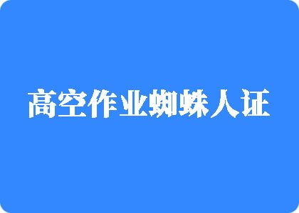 大鸡巴插逼逼影视观看高空作业蜘蛛人证